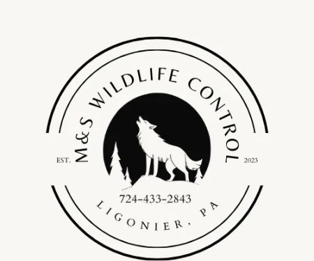 M&S Wildlife Control