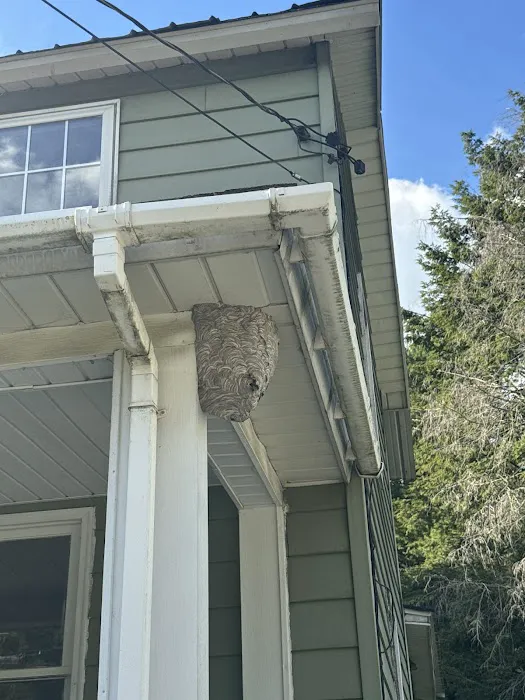 Protective Pest Management Picture 8
