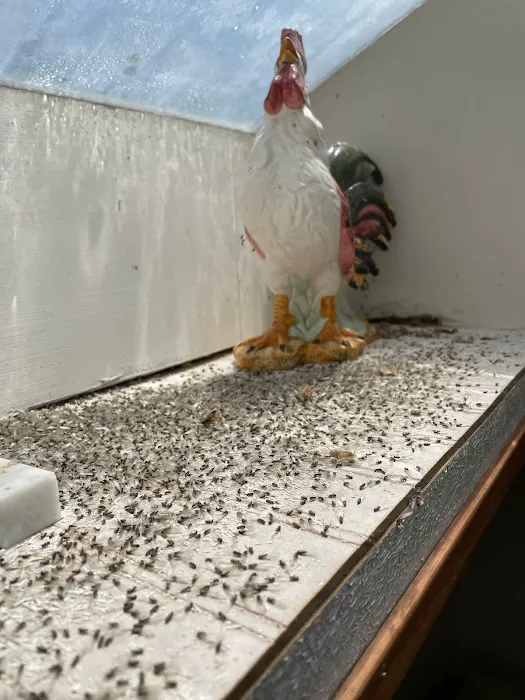 Petti Pest Control Picture 1