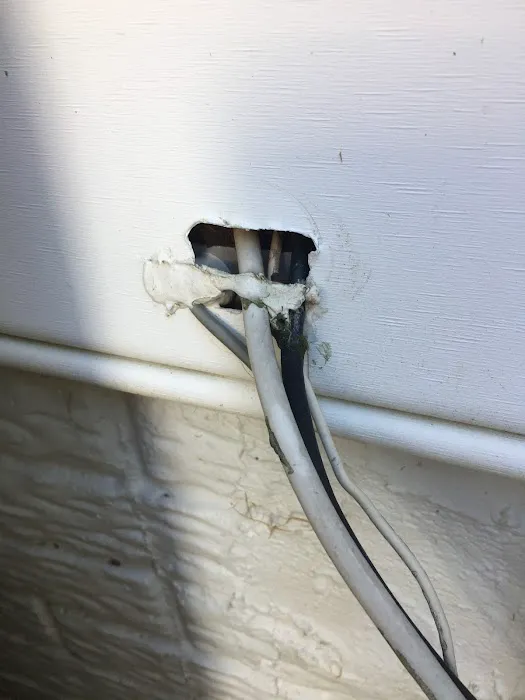 Key Pest Control Picture 6