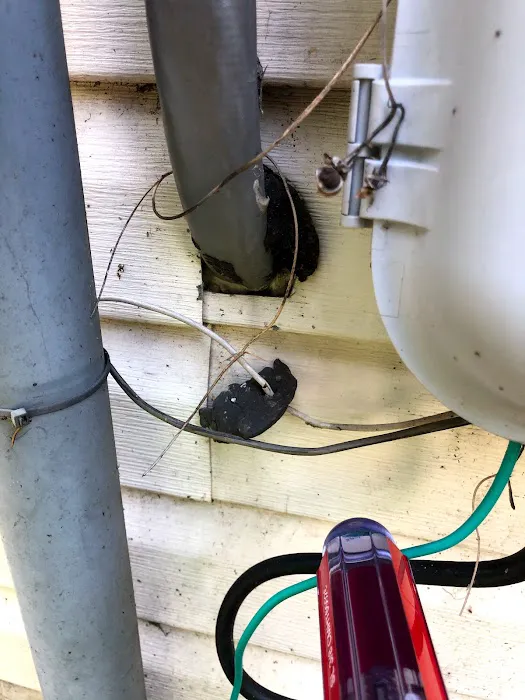 Key Pest Control Picture 5