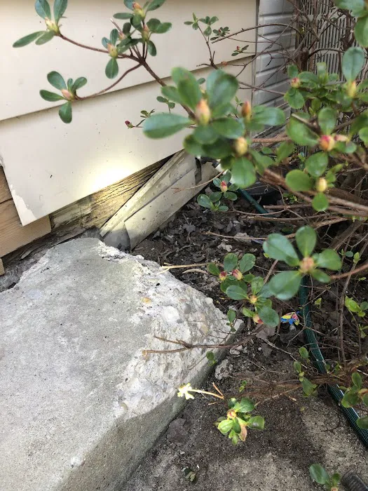 Key Pest Control Picture 8