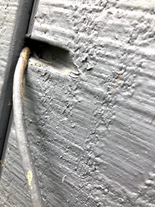 Key Pest Control Picture 10