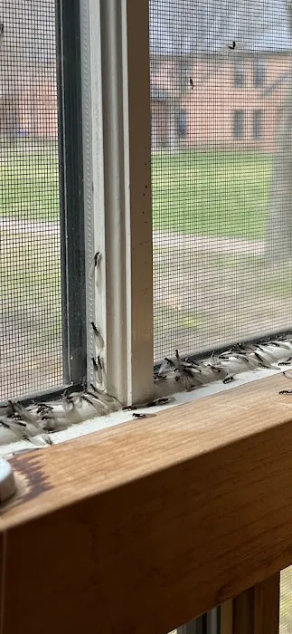 Key Pest Control Picture 9