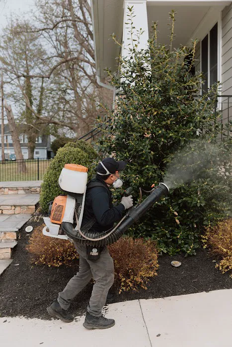 Petti Pest Control Picture 6