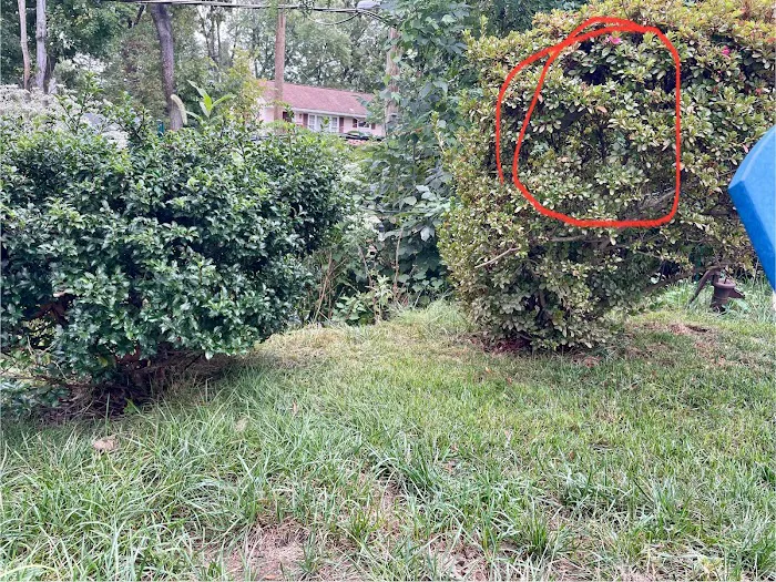 Ehrlich Pest Control Picture 4