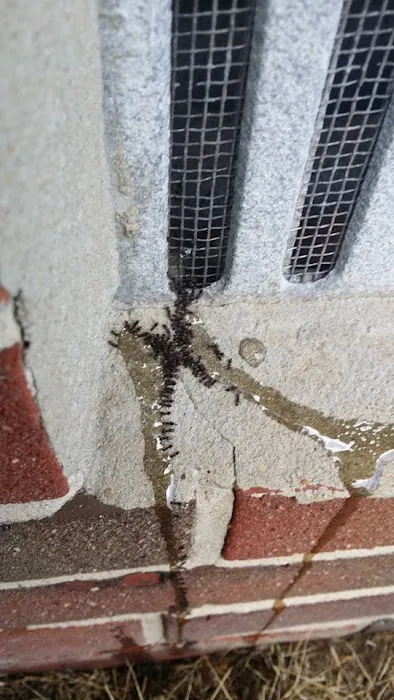 Delta Pest Solutions Picture 7