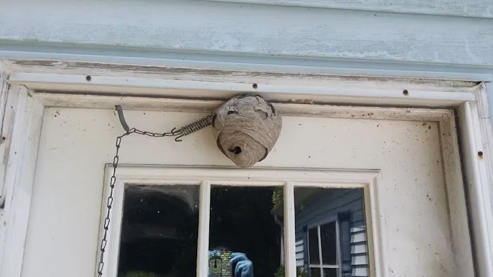 Delta Pest Solutions Picture 8