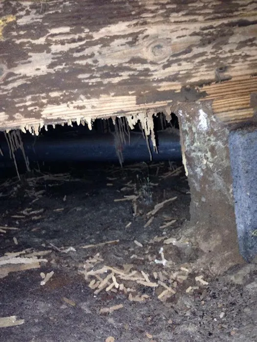 Cox Termite & Pest, LLC. Picture 7