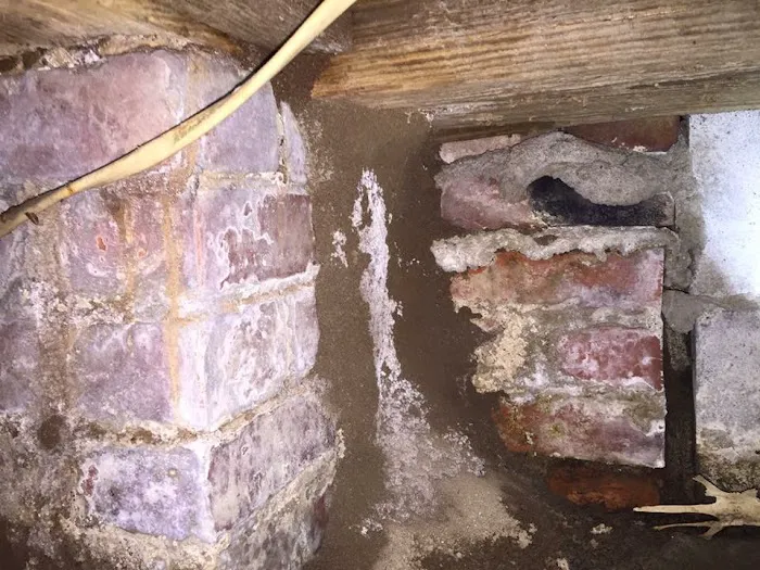 Cox Termite & Pest, LLC. Picture 10