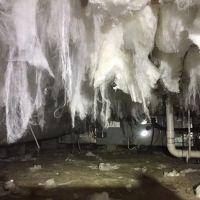 Cox Termite & Pest, LLC. ico