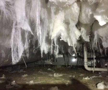 Cox Termite & Pest, LLC.