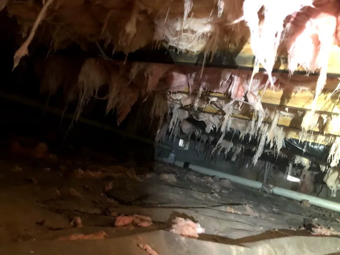 Cox Termite & Pest, LLC. Picture 3