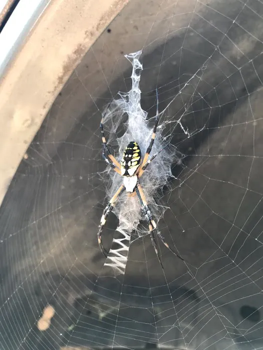 Landlock Pest Control Picture 8