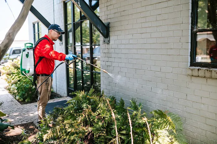 U.S. Pest Control Picture 4