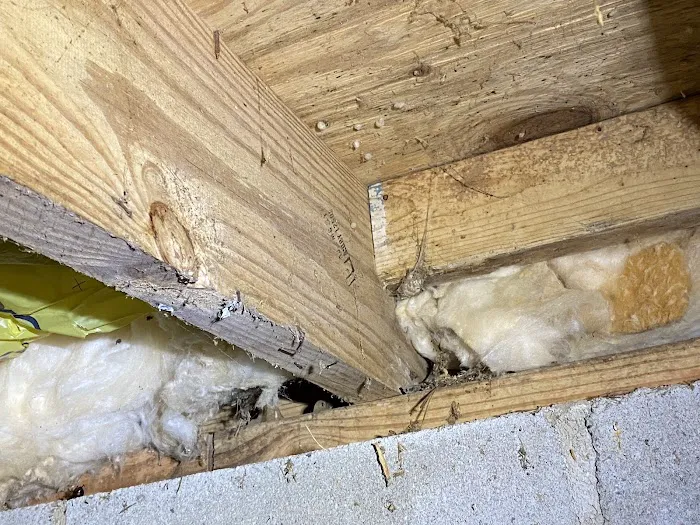All-Stars Pest Control Picture 5