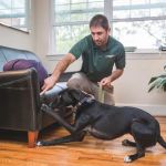 Superior Bed Bug Solutions