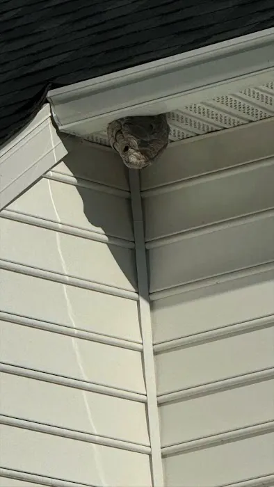 EJ's Pest Control Picture 2