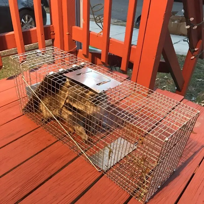 EJ's Pest Control Picture 9