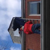 EJ's Pest Control ico