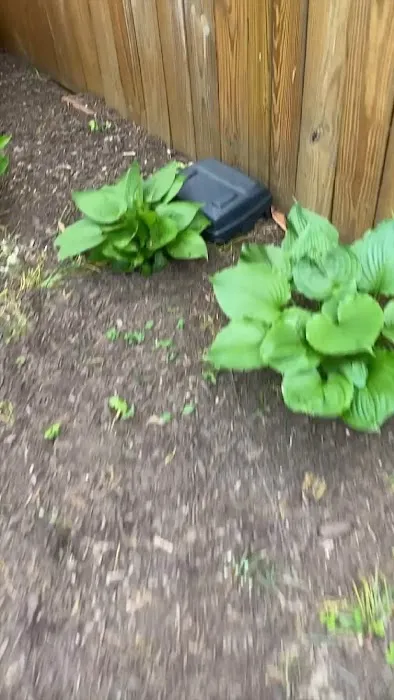 EJ's Pest Control Picture 6