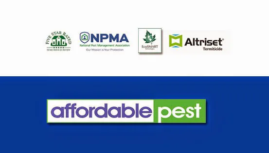 Affordable Pest Picture 3