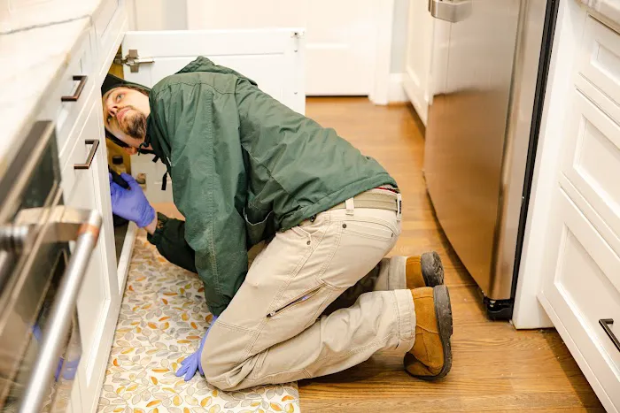 Highland Eco Pest Control Picture 6