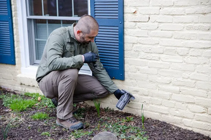 Highland Eco Pest Control Picture 4