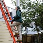 Highland Eco Pest Control