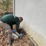 Planet Friendly Pest Control