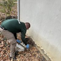 Planet Friendly Pest Control ico