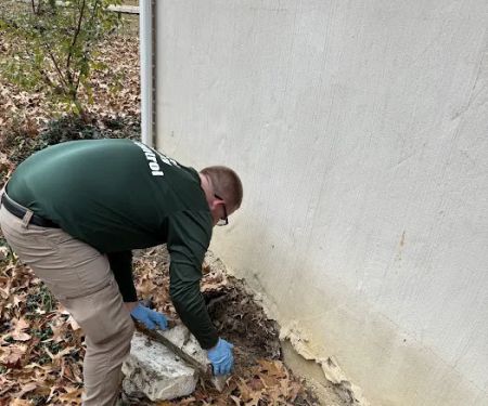 Planet Friendly Pest Control