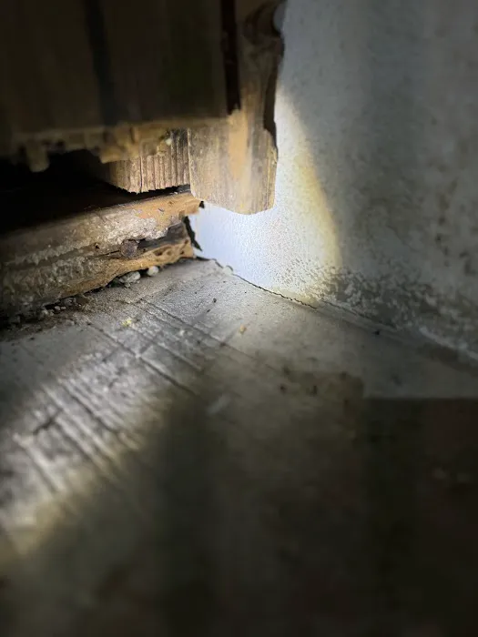 Planet Friendly Pest Control Picture 7