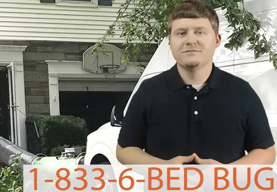 Crown Heat Bed Bug Eliminators Picture 1