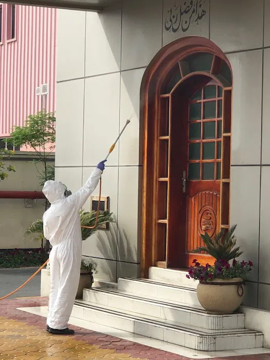Matar Termite & Pest Control Picture 9