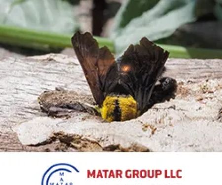 Matar Termite & Pest Control
