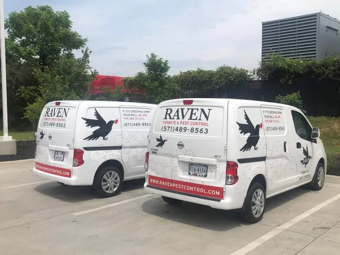 Raven Termite and Pest Control Picture 1