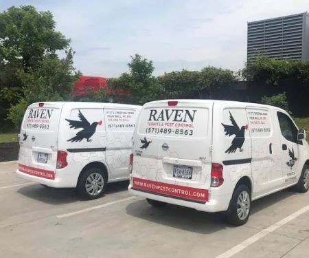Raven Termite and Pest Control