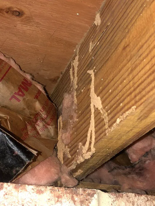 Raven Termite and Pest Control Picture 4