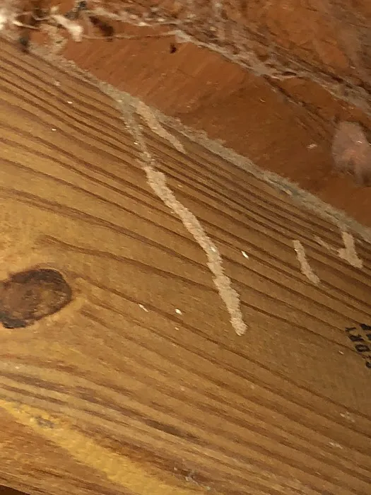 Raven Termite and Pest Control Picture 5