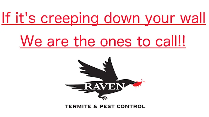 Raven Termite and Pest Control Picture 3