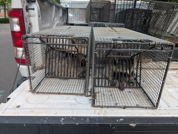 Alexandria Pest Services Picture 3