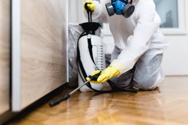 Alexandria Pest Services Picture 2