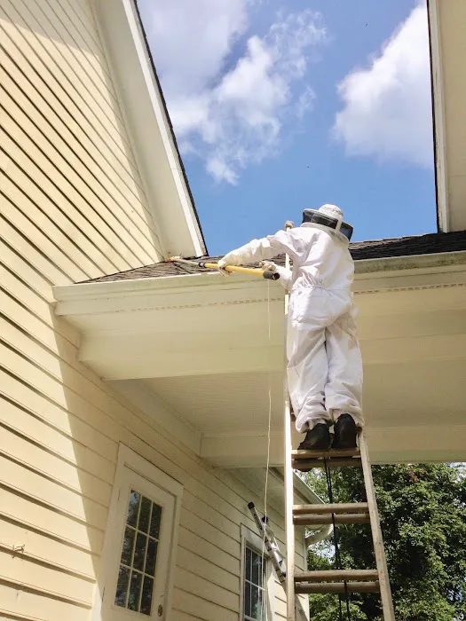 Holiday Termite & Pest Control Picture 2