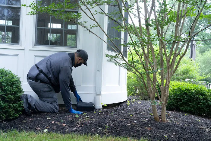 Holiday Termite & Pest Control Picture 10
