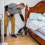 Eco Bed Bug Exterminators VA