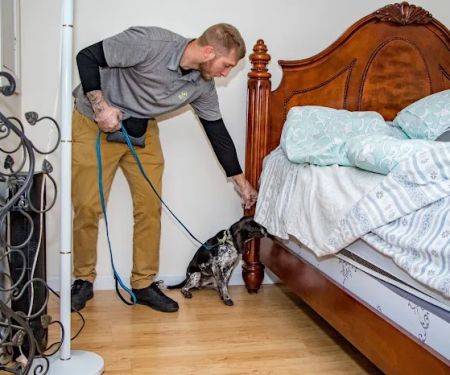 Eco Bed Bug Exterminators VA