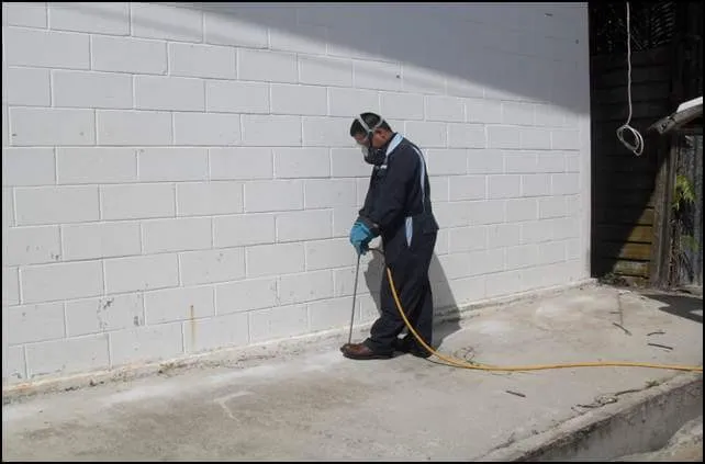 Mitchell Pest Services Picture 5