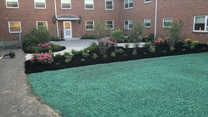 Chautauqua Hydroseeding, Lawn Drainage and Tree Planting Picture 1