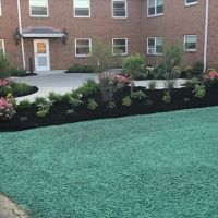 Chautauqua Hydroseeding, Lawn Drainage and Tree Planting ico